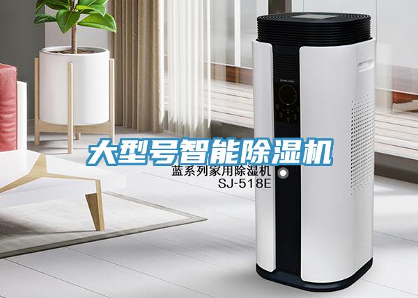 大型号智能91免费网站在线观看