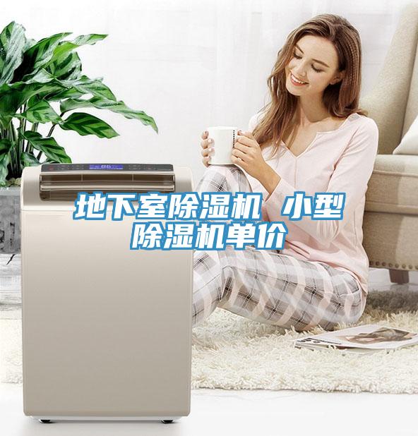 地下室91免费网站在线观看 小型91免费网站在线观看单价