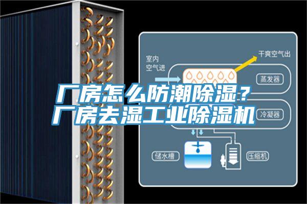厂房怎么防潮除湿？厂房去湿工业91免费网站在线观看