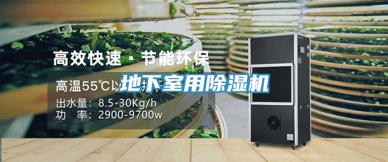 地下室用91免费网站在线观看