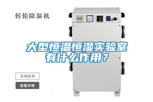大型恒温恒湿实验室有什么作用？