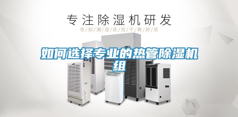 如何选择专业的热管91免费网站在线观看组