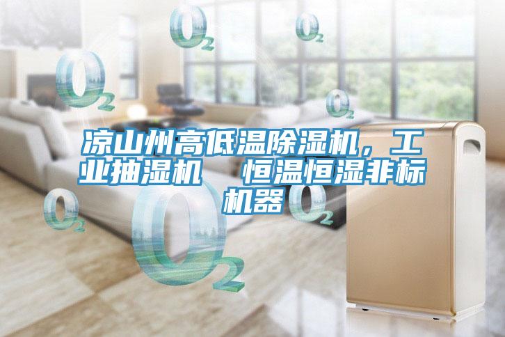 凉山州高低温91免费网站在线观看，工业抽湿机  恒温恒湿非标机器