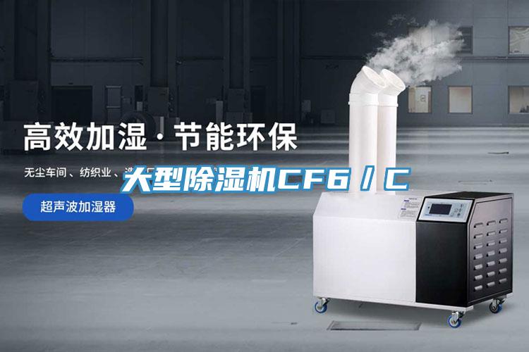 大型91免费网站在线观看CF6／C