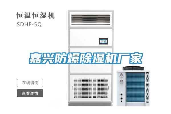 嘉兴防爆91免费网站在线观看厂家