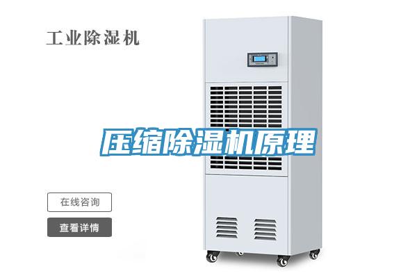 压缩91免费网站在线观看原理
