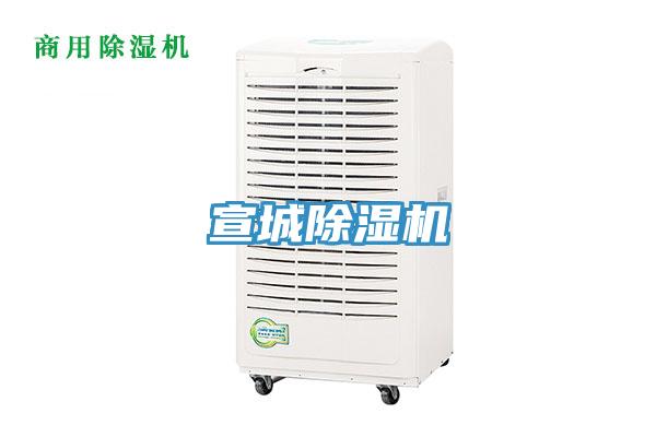 宣城91免费网站在线观看