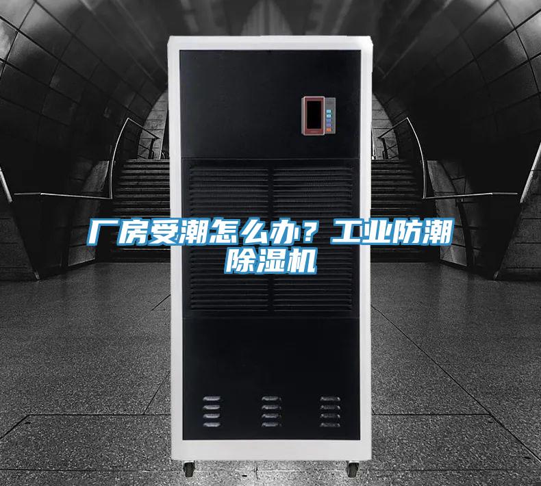 厂房受潮怎么办？工业防潮91免费网站在线观看