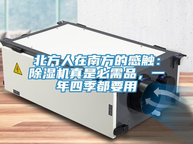 北方人在南方的感触：91免费网站在线观看真是必需品，一年四季都要用