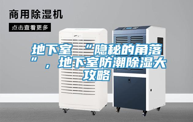 地下室≠“隐秘的角落”，地下室防潮除湿大攻略