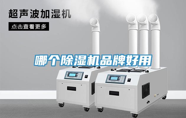 哪个91免费网站在线观看品牌好用