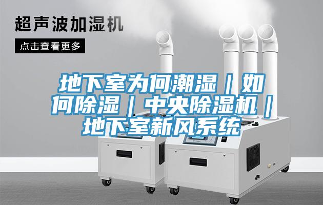 地下室为何潮湿｜如何除湿｜中央91免费网站在线观看｜地下室新风系统