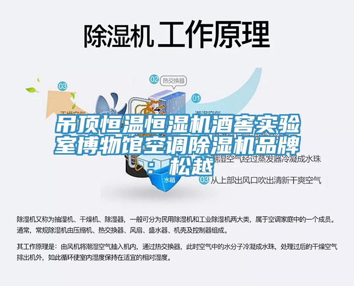 吊顶恒温恒湿机酒窖实验室博物馆空调91免费网站在线观看品牌：松越