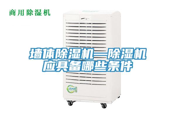 墙体91免费网站在线观看—91免费网站在线观看应具备哪些条件