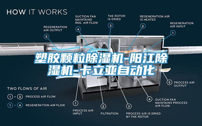 塑胶颗粒91免费网站在线观看-阳江91免费网站在线观看-卡立亚自动化
