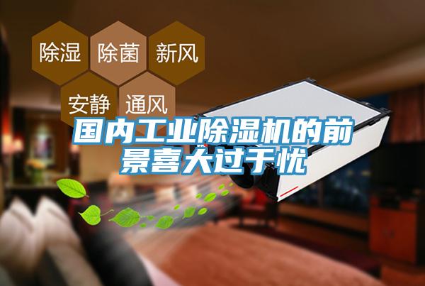 国内工业91免费网站在线观看的前景喜大过于忧