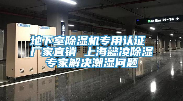 地下室91免费网站在线观看专用认证 厂家直销 上海懿凌除湿专家解决潮湿问题