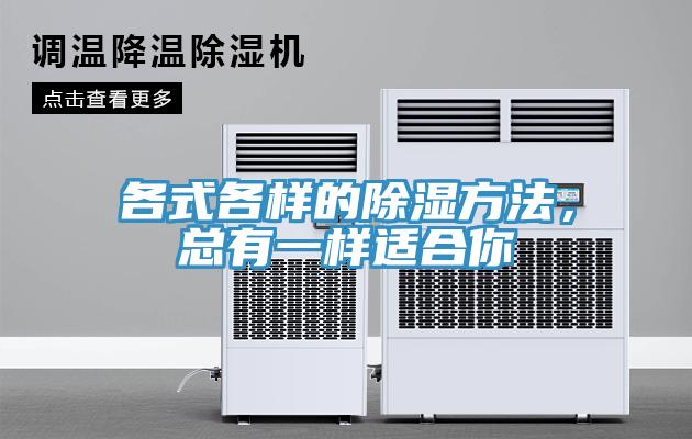 各式各样的除湿方法，总有一样适合你