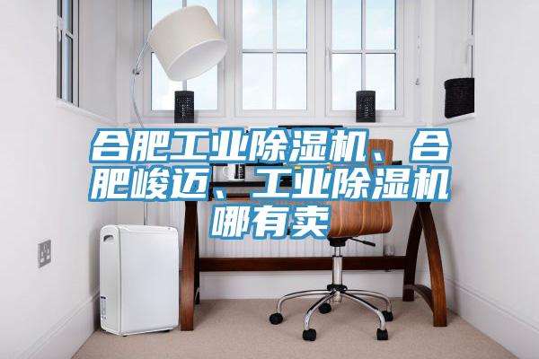 合肥工业91免费网站在线观看、合肥峻迈、工业91免费网站在线观看哪有卖