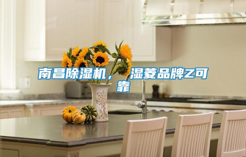 南昌91免费网站在线观看， 湿菱品牌Z可靠
