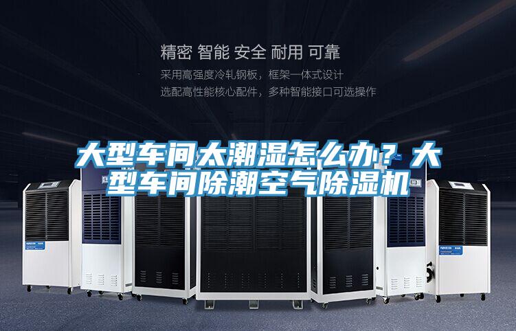 大型车间太潮湿怎么办？大型车间除潮空气91免费网站在线观看