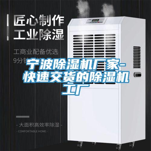 宁波91免费网站在线观看厂家-快速交货的91免费网站在线观看工厂
