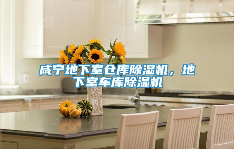 咸宁地下室仓库91免费网站在线观看，地下室车库91免费网站在线观看