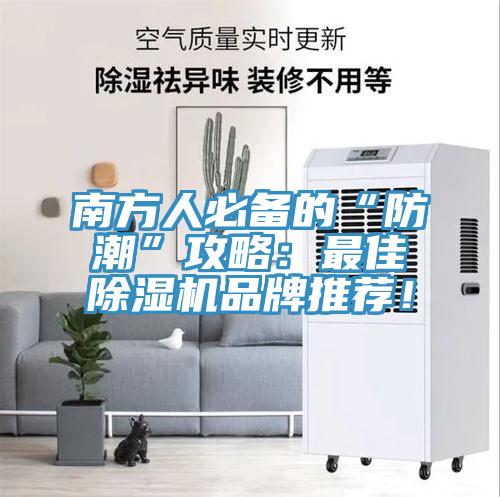 南方人必备的“防潮”攻略：最佳91免费网站在线观看品牌推荐！