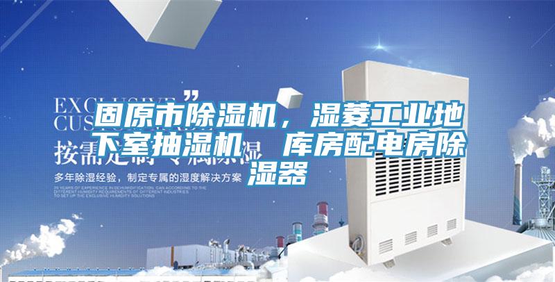 固原市91免费网站在线观看，湿菱工业地下室抽湿机  库房配电房除湿器