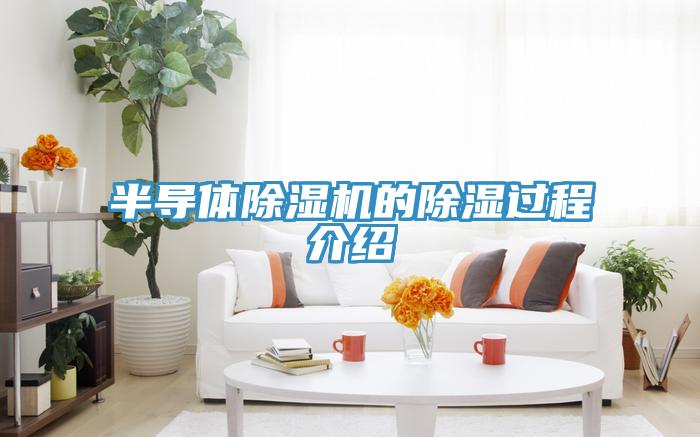 半导体91免费网站在线观看的除湿过程介绍