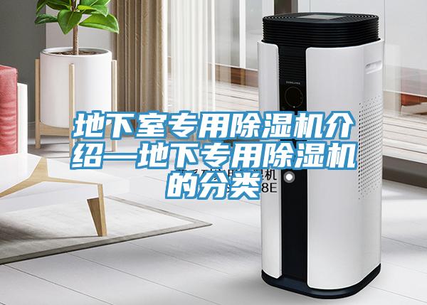 地下室专用91免费网站在线观看介绍—地下专用91免费网站在线观看的分类