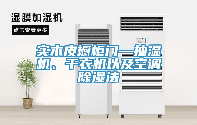 实木皮橱柜门—抽湿机、干衣机以及空调除湿法