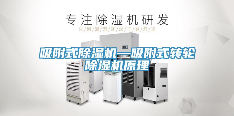 吸附式91免费网站在线观看—吸附式转轮91免费网站在线观看原理