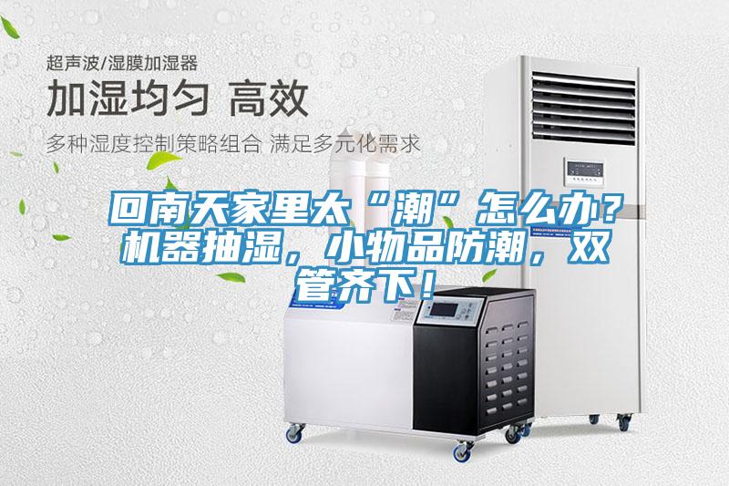 回南天家里太“潮”怎么办？机器抽湿，小物品防潮，双管齐下！