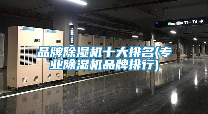 品牌91免费网站在线观看十大排名(专业91免费网站在线观看品牌排行)