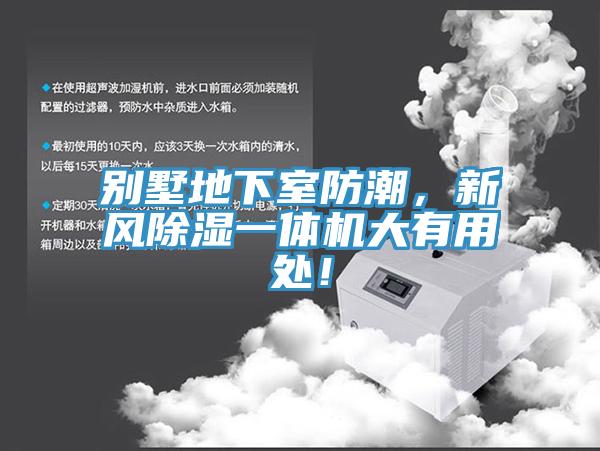 别墅地下室防潮，新风除湿一体机大有用处！