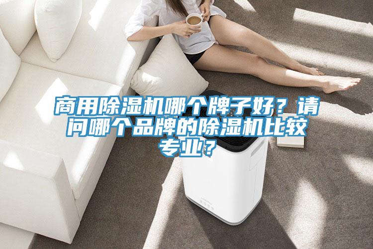 商用91免费网站在线观看哪个牌子好？请问哪个品牌的91免费网站在线观看比较专业？