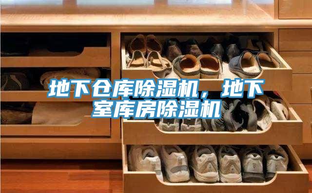 地下仓库91免费网站在线观看，地下室库房91免费网站在线观看
