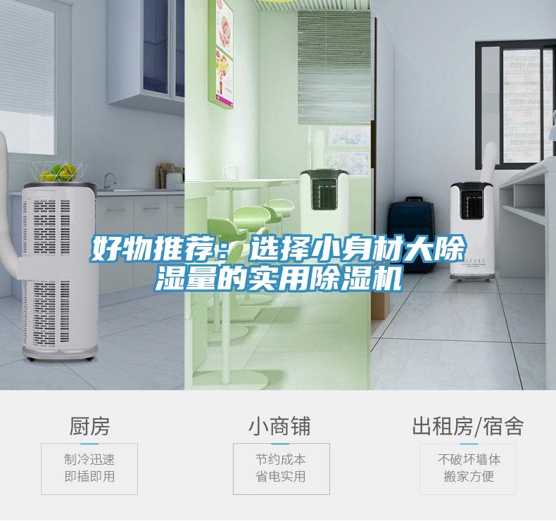 好物推荐：选择小身材大除湿量的实用91免费网站在线观看