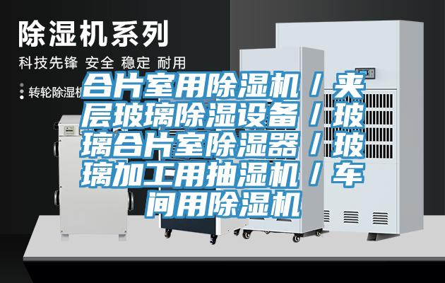 合片室用91免费网站在线观看／夹层玻璃除湿设备／玻璃合片室除湿器／玻璃加工用抽湿机／车间用91免费网站在线观看