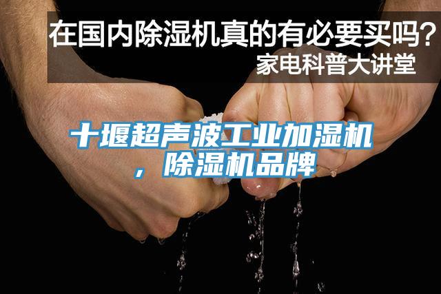 十堰超声波工业加湿机，91免费网站在线观看品牌