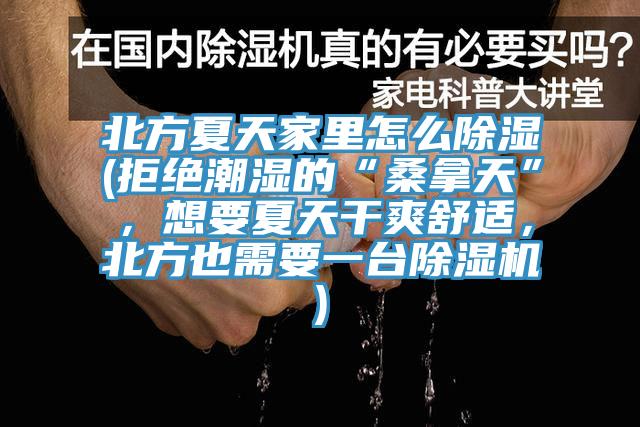 北方夏天家里怎么除湿(拒绝潮湿的“桑拿天”，想要夏天干爽舒适，北方也需要一台91免费网站在线观看)