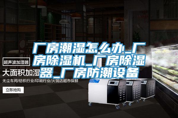厂房潮湿怎么办_厂房91免费网站在线观看_厂房除湿器_厂房防潮设备