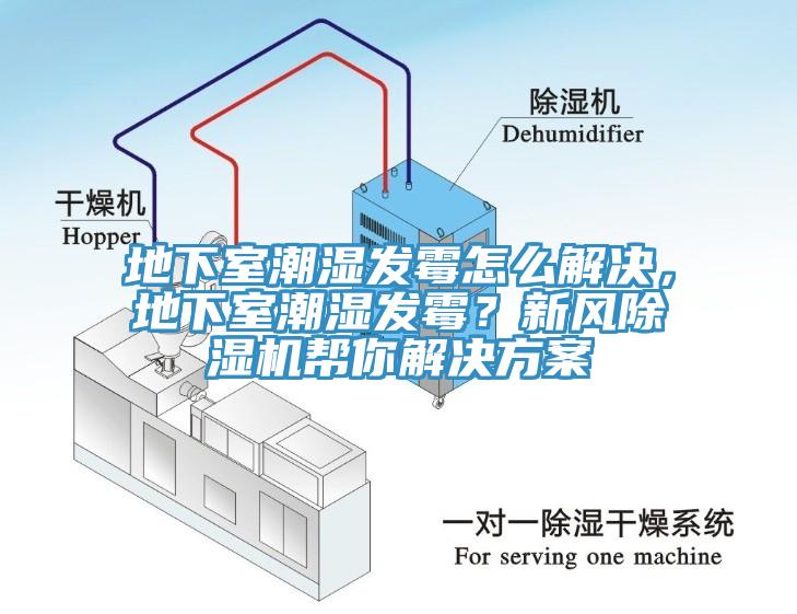 地下室潮湿发霉怎么解决，地下室潮湿发霉？新风91免费网站在线观看帮你解决方案