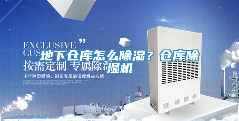 地下仓库怎么除湿？仓库91免费网站在线观看