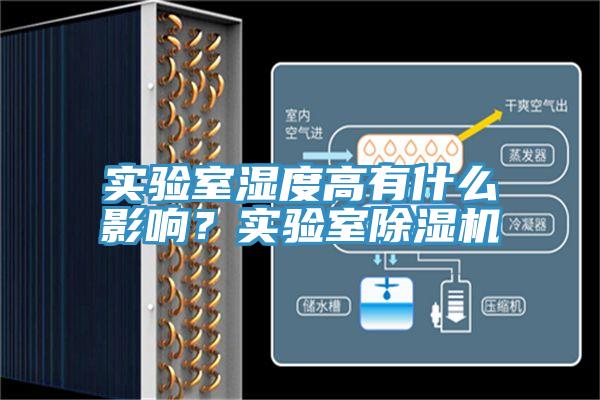 实验室湿度高有什么影响？实验室91免费网站在线观看