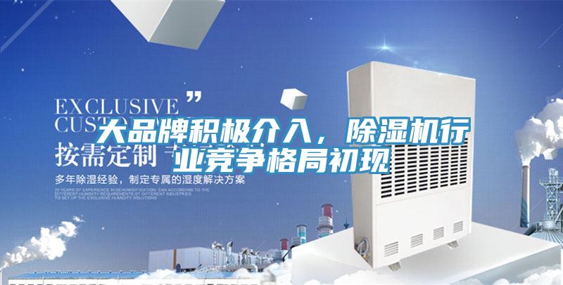 大品牌积极介入，91免费网站在线观看行业竞争格局初现