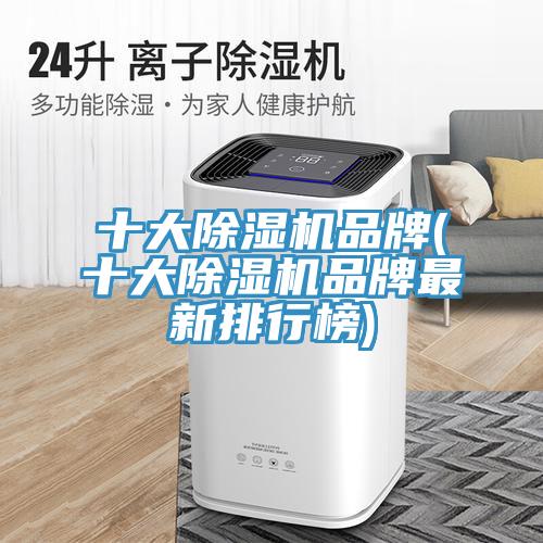 十大91免费网站在线观看品牌(十大91免费网站在线观看品牌最新排行榜)