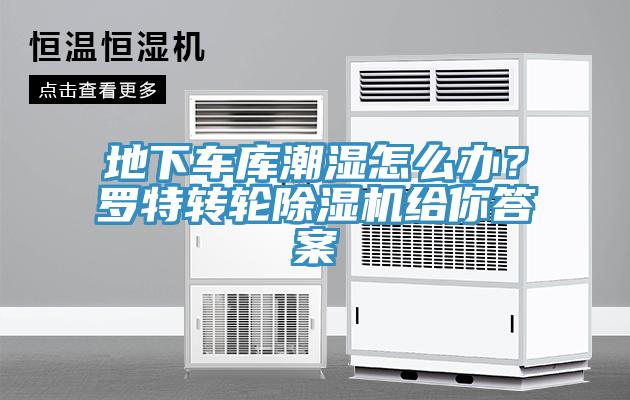 地下车库潮湿怎么办？罗特转轮91免费网站在线观看给你答案