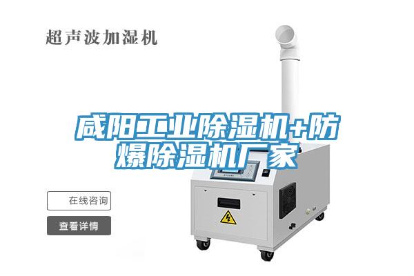 咸阳工业91免费网站在线观看+防爆91免费网站在线观看厂家